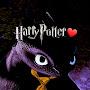 @potterheadnightfury15422