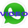 whatsapp-video