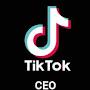 Ticktok CEO