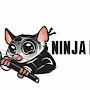 Ninja Possum Studios