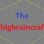thebigbraincraft