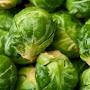@brusselssprouts7740