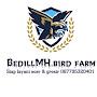 BedillMH Farm