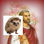 @St.Sogofhedgehogs