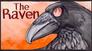 The Raven  | Animation |  Edgar Allan Poe