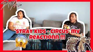 DAY #11 STRAY KIDS- CIRCUS REACTION !!!!!!!!!!!!!!!!!