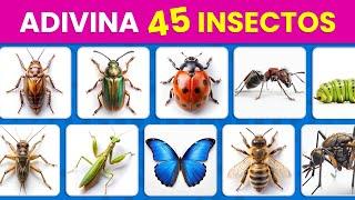 Adivina 45 INSECTOS  - De Nivel Fácil a IMPOSIBLE | ¿Cuánto Sabes de Insectos ?