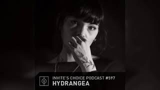 Invite's Choice Podcast 597 - Hydrangea