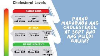 PAANO MAPABABA ANG CHOLESTEROL AT SGPT |  DOC WILLIE ONG