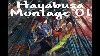 HAYABUSA Montage 01