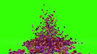 Free Green screen Rose Petals Flying Chromakey | Copyright Free | Free to Use for Any Project