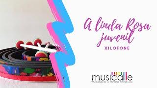 A Linda Rosa Juvenil - Xilofone baixo