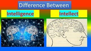 Difference Between Intelligence and Intellect