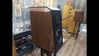 Dengar bareng Speaker HiFi audivo PHS 6A Polytron