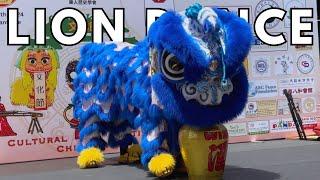 Lion Dance in San Francisco Chinatown Cultural Festival 2024