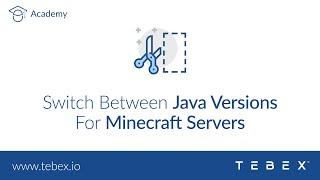 Tebex - Switch Between Java Versions For Minecraft Servers