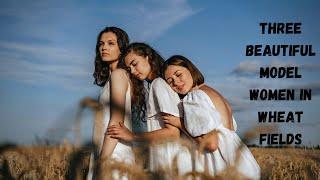 Three Beautiful Model Women In Wheat Fields | Beautiful Model Girl HD Stock Video | Romance Post BD