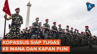 Kopassus Bawa "Martabat" Negara: Siap Lawan KKB di Papua?