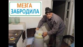 Светлое вино. МЕЗГА ЗАБРОДИЛА на третий день