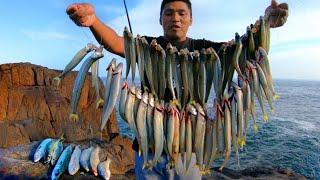 Increíble Pesca de Pejerrey y Caballa en acantilados Riesgosos