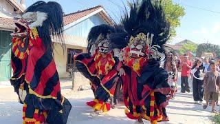 Seruu !! Arak Arakan Barongan Galak dan Reog Ponorogo Keliling Kampung