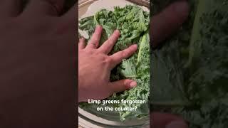 How to Fix Limp Salad Greens #foodhacks #veggies