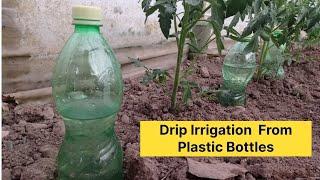 How To Make Drip Irrigation From Plastic Bottles