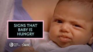 How to Tell When Baby is Hungry | TexasWIC Provides Breastfeeding Support  | BreastmilkCounts.com