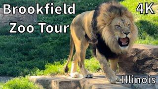Brookfield Zoo Chicago Tour - Brookfield, Illinois - USA [4K]