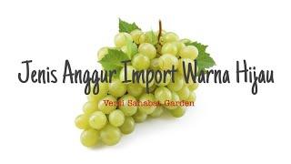 Types of Imported Green Grapes