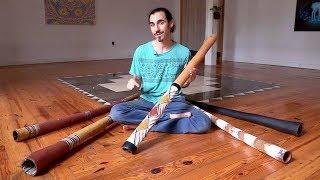 Comparing 5 Eucalyptus Didgeridoos (all traditional Aboriginal Australian instruments)