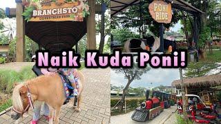 Jalan-Jalan Naik Kuda Poni di Jakarta Tangerang!