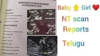 Baby Girl NT scan reports explained in telugu#ntscan #telugu #viralvideo #@Cutiepiers