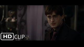 Bill And Fleur's Wedding | Harry Potter and the Deathly Hallows Part 1