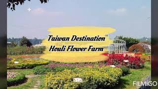 Taiwan Destination Houli Flower Farm / Zhong She flower farm || RedQueen TV