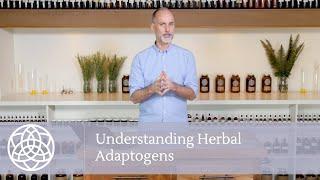 Understanding Herbal Adaptogens and Using Them Safely | Mini-lesson with David Caudwell