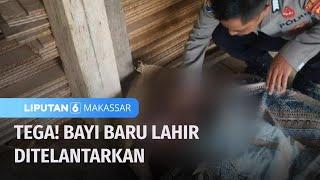 Warga Dihebohkan Dengan Penemuan Bayi Baru Lahir di Kolong Rumah Kosong | Liputan 6 Makassar