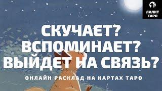 4 КОРОЛЯ: СКУЧАЕТ? ВСПОМИНАЕТ? ВЫЙДЕТ НА СВЯЗЬ? онлайн расклад на картах Таро |Лилит Таро|