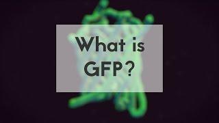 What is GFP?