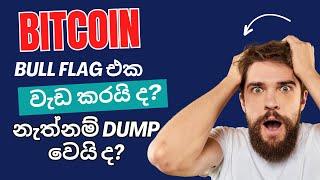 Bitcoin - Bull flag breakout or a dump incoming ? - What's next - imp TA - Sinhala