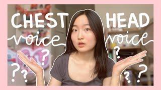 How to Sing in Chest Voice and Head Voice: Tips for Your K-Pop Audition