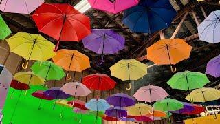 Enter a wonderland of interactive art at San Francisco’s Umbrella Alley