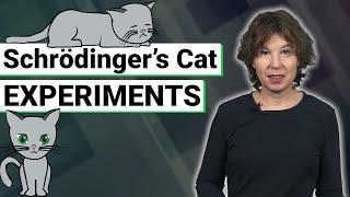 Understanding Quantum Mechanics: Schrödinger's Cat Experiments