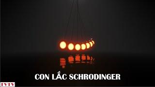 Con lắc Schrodinger | Thư Viện Thiên Văn