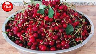  I Store Sour Cherries for 1 Year Without Refrigerator  No Sugar  Winter Cherry Recipe Practical