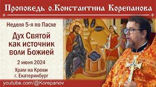 Дух Святой как источник воли Божьей. Проповедь о.Константина Корепанова в Неделю 5-ю по Пасхе (2024)