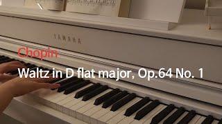 Chopin Waltz in D flat major, Op. 64 No. 1 | 쇼팽 강아지 왈츠