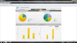 Linguify.S converts SAP-Compensetion Dashboard from English to German