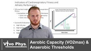 Aerobic Capacity (VO2max) and Anaerobic Thresholds