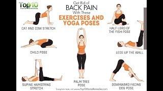 low back pain exercises handout patient